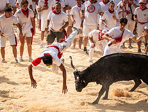 Agrandir l'image (fenêtre modale)