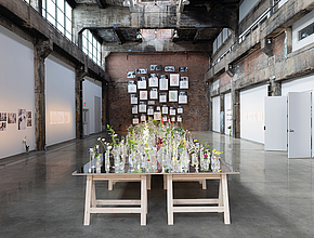 Agrandir l'image (fenêtre modale)