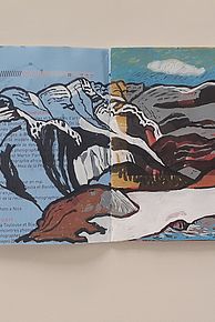 Agrandir l'image (fenêtre modale)