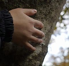 Photo d'une main sur un arbre