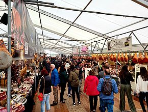 Agrandir l'image (fenêtre modale)