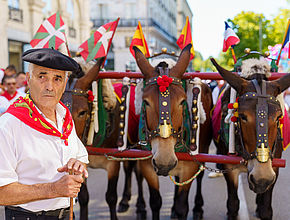 Agrandir l'image (fenêtre modale)