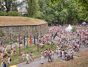 Agrandir l'image (fenêtre modale)