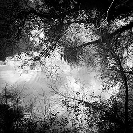 Agrandir l'image (fenêtre modale)