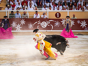 Agrandir l'image (fenêtre modale)