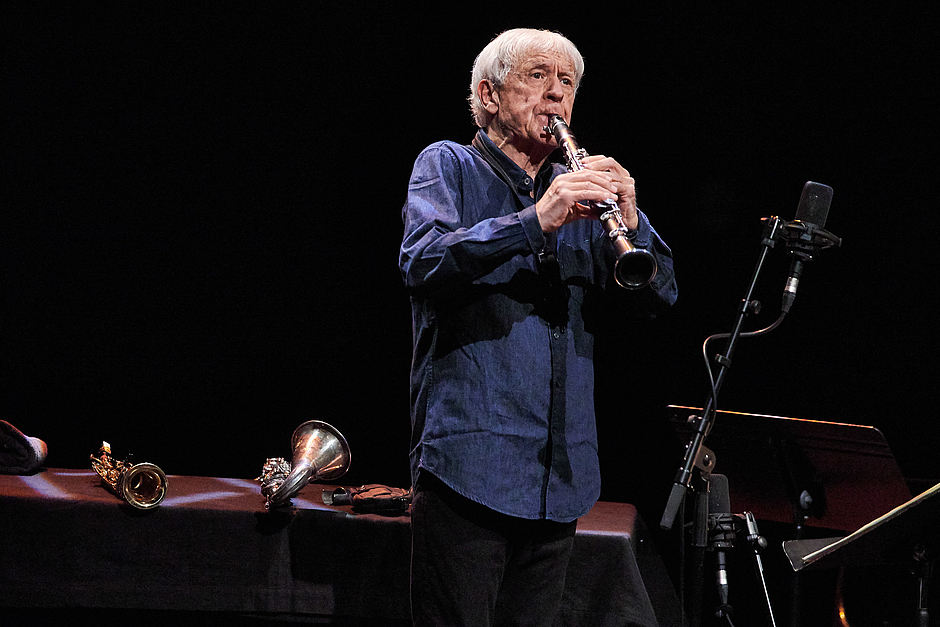 Agrandir l'image (fenêtre modale)