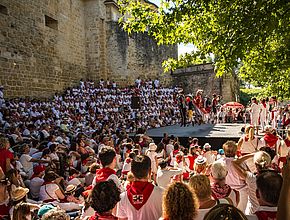 Agrandir l'image (fenêtre modale)