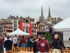 Agrandir l'image (fenêtre modale)