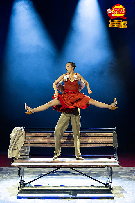 Agrandir l'image (fenêtre modale)