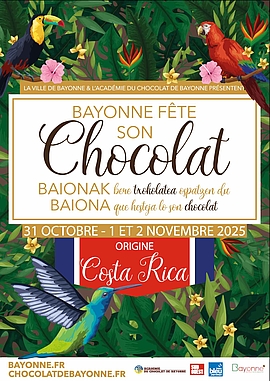 Agrandir l'image (fenêtre modale)