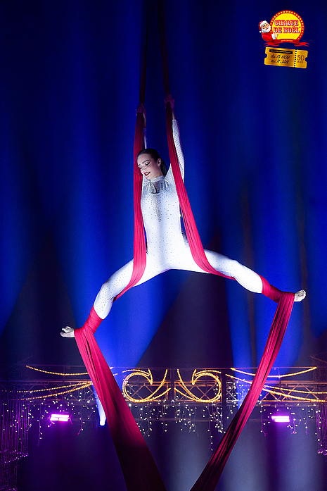 Agrandir l'image (fenêtre modale)