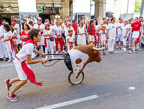 Agrandir l'image (fenêtre modale)