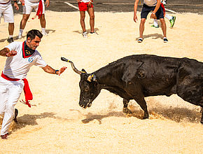 Agrandir l'image (fenêtre modale)