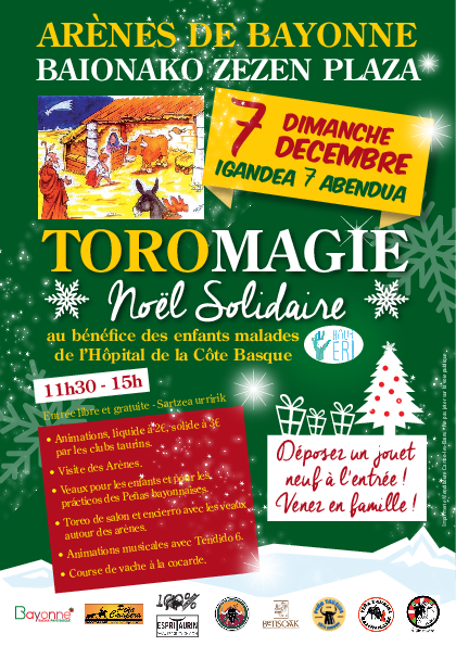 Agrandir l'image (fenêtre modale)