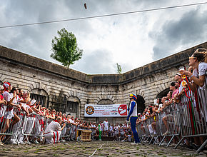 Agrandir l'image (fenêtre modale)