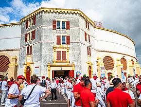 Agrandir l'image (fenêtre modale)